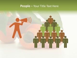 Summer Tree White PowerPoint Template