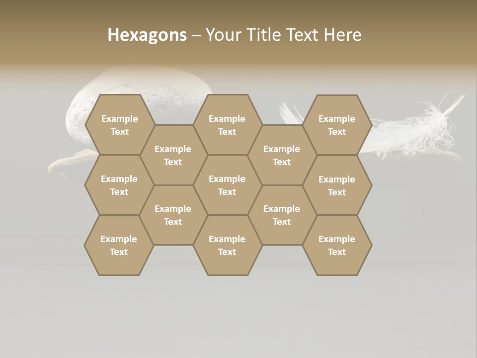 Concepts Fragility Natural PowerPoint Template