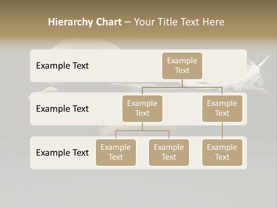 Concepts Fragility Natural PowerPoint Template