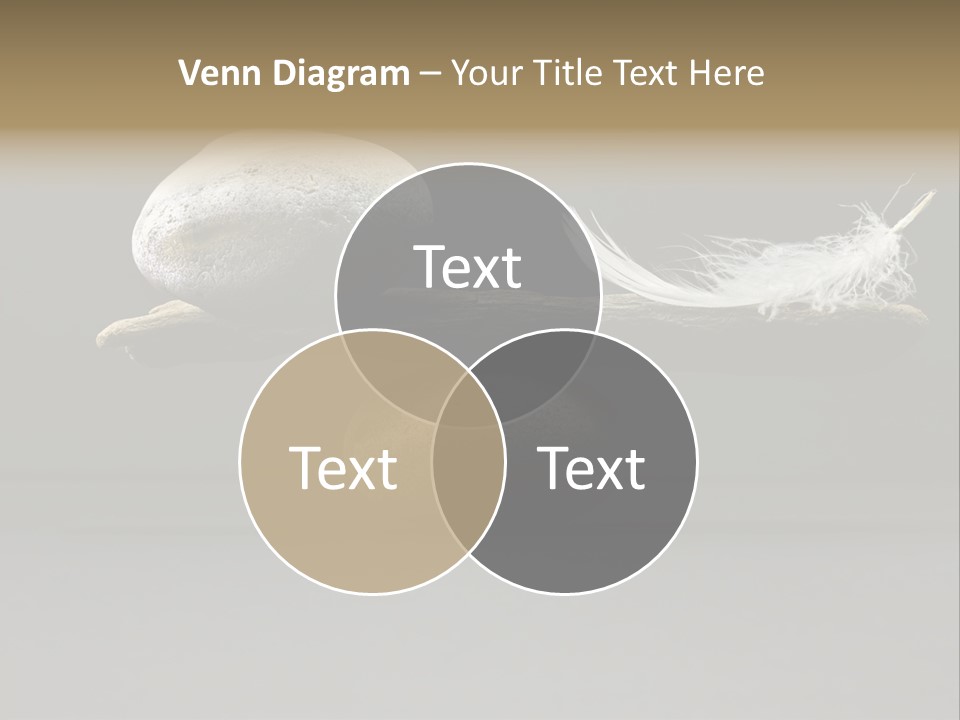 Concepts Fragility Natural PowerPoint Template