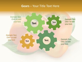 Ripe Green Exotic PowerPoint Template