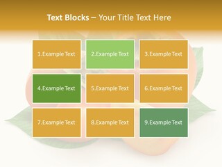 Ripe Green Exotic PowerPoint Template