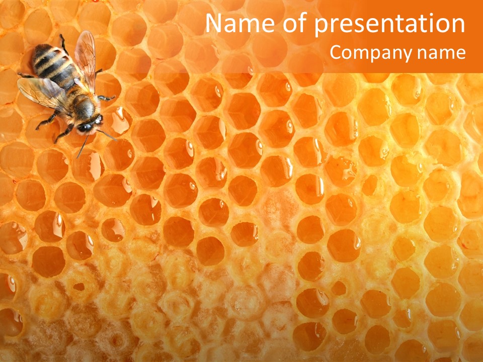 Honeycomb Worker Industrious PowerPoint Template