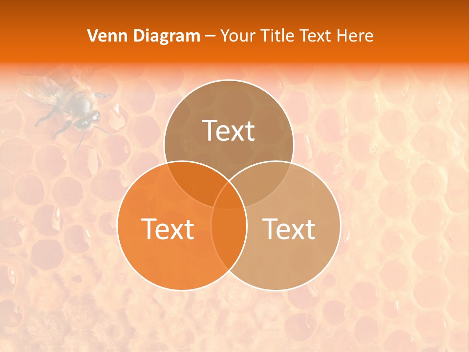 Honeycomb Worker Industrious PowerPoint Template