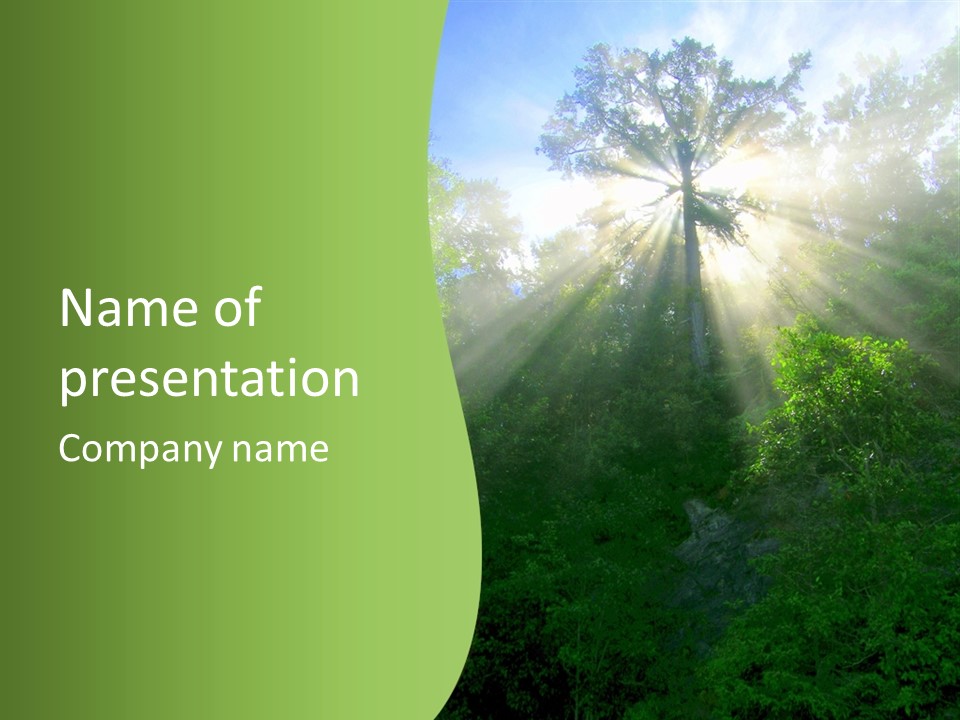 Bush Inspiration Sun PowerPoint Template