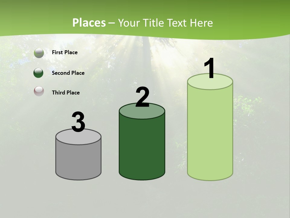 Bush Inspiration Sun PowerPoint Template