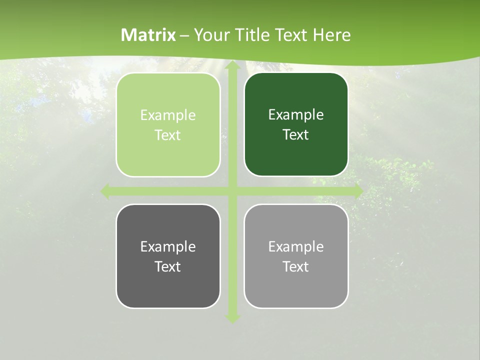 Bush Inspiration Sun PowerPoint Template