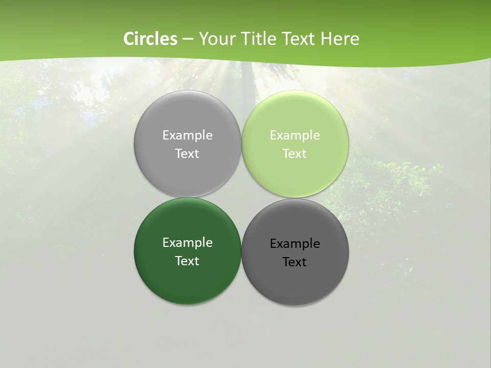 Bush Inspiration Sun PowerPoint Template