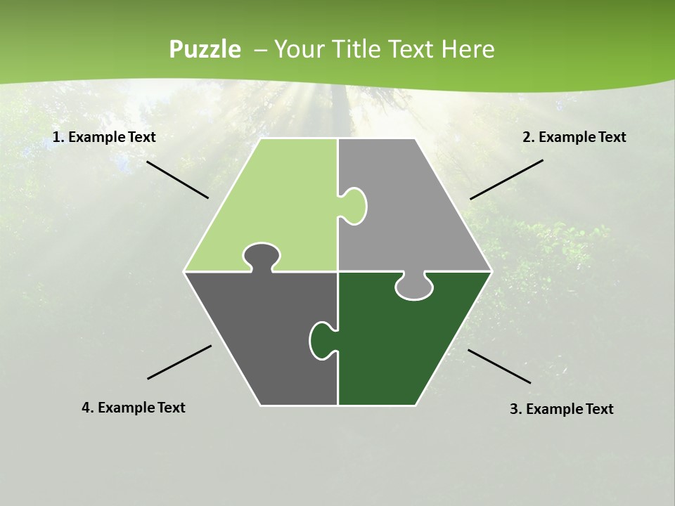 Bush Inspiration Sun PowerPoint Template