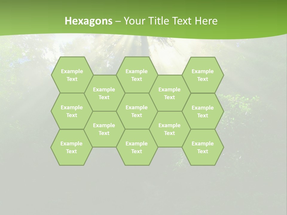 Bush Inspiration Sun PowerPoint Template