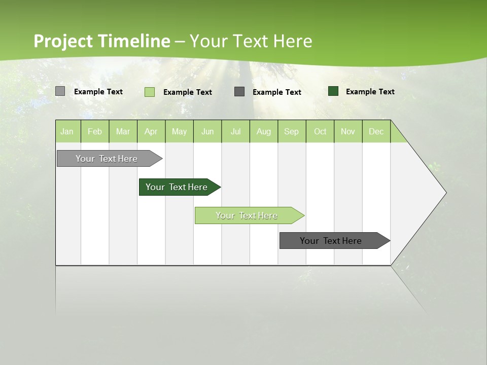 Bush Inspiration Sun PowerPoint Template