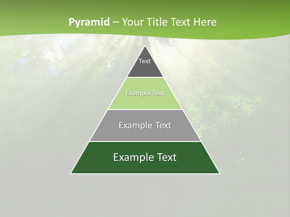 Bush Inspiration Sun PowerPoint Template