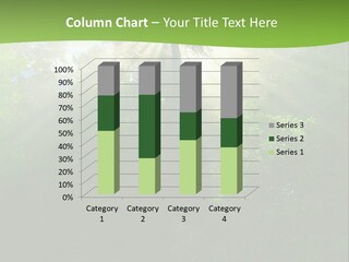 Bush Inspiration Sun PowerPoint Template