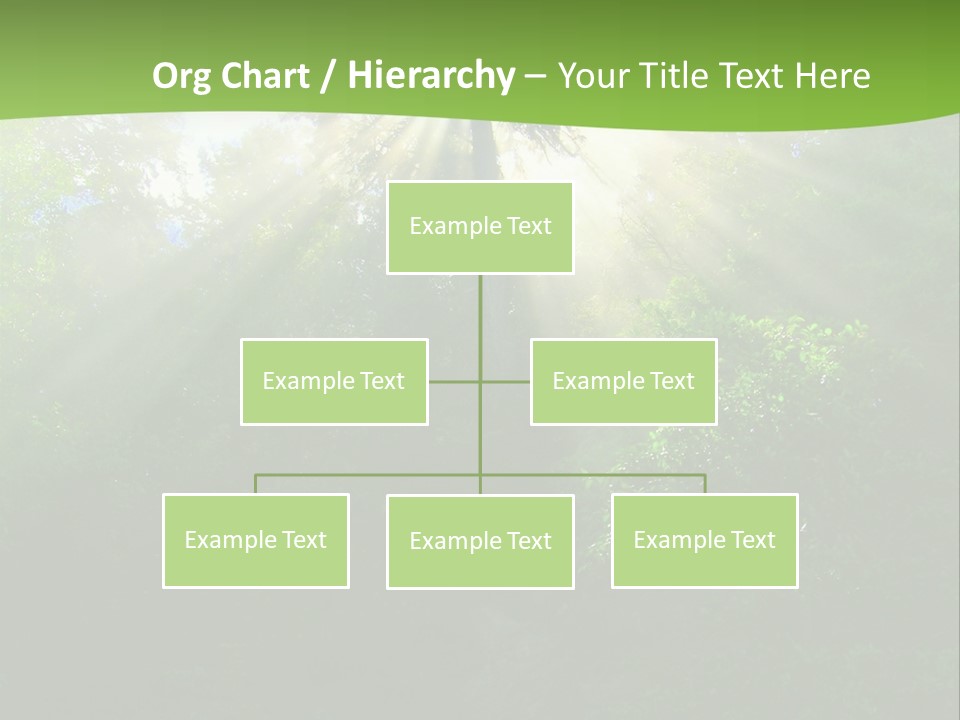 Bush Inspiration Sun PowerPoint Template