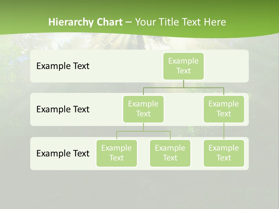 Bush Inspiration Sun PowerPoint Template