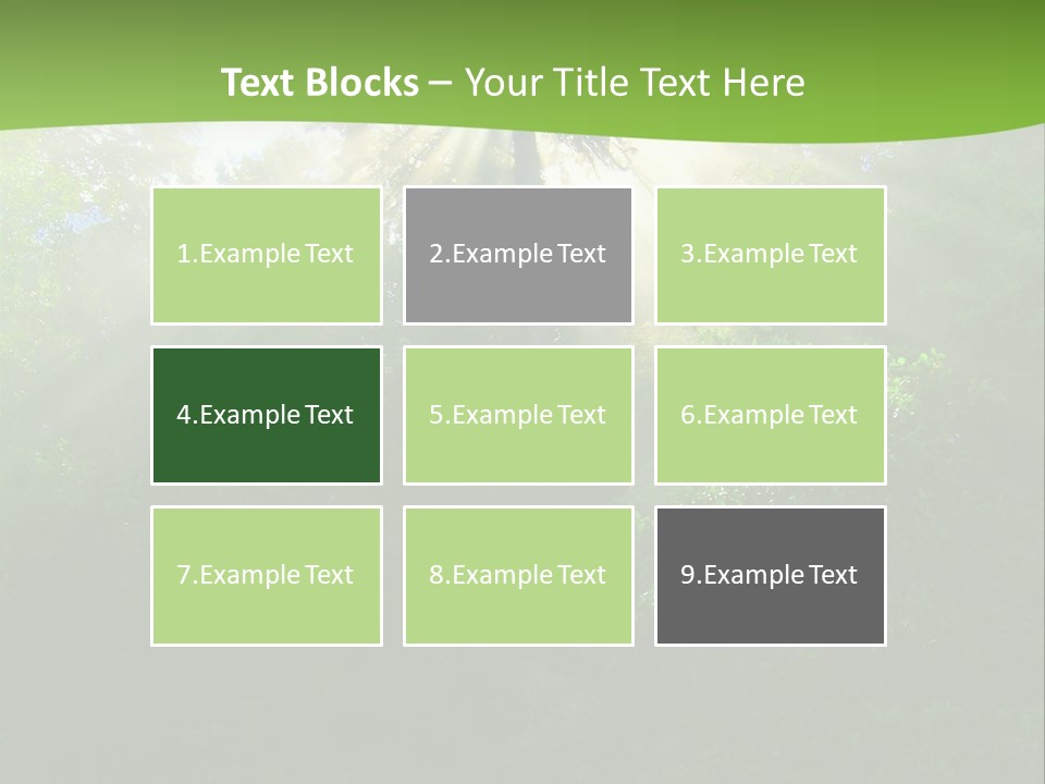 Bush Inspiration Sun PowerPoint Template