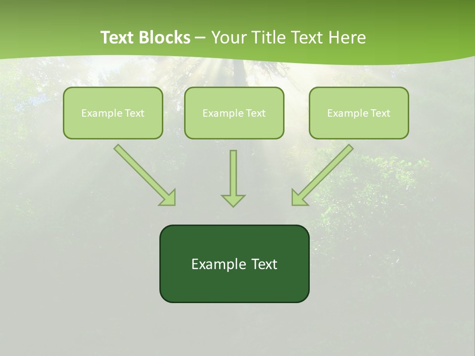 Bush Inspiration Sun PowerPoint Template
