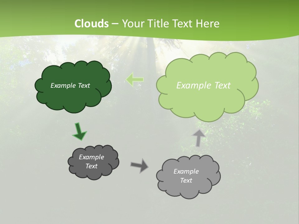 Bush Inspiration Sun PowerPoint Template