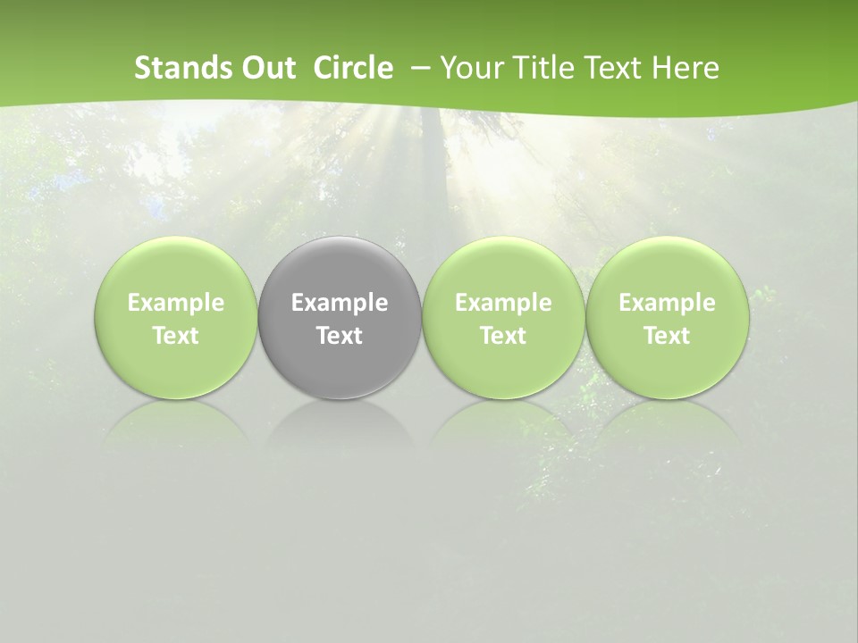 Bush Inspiration Sun PowerPoint Template