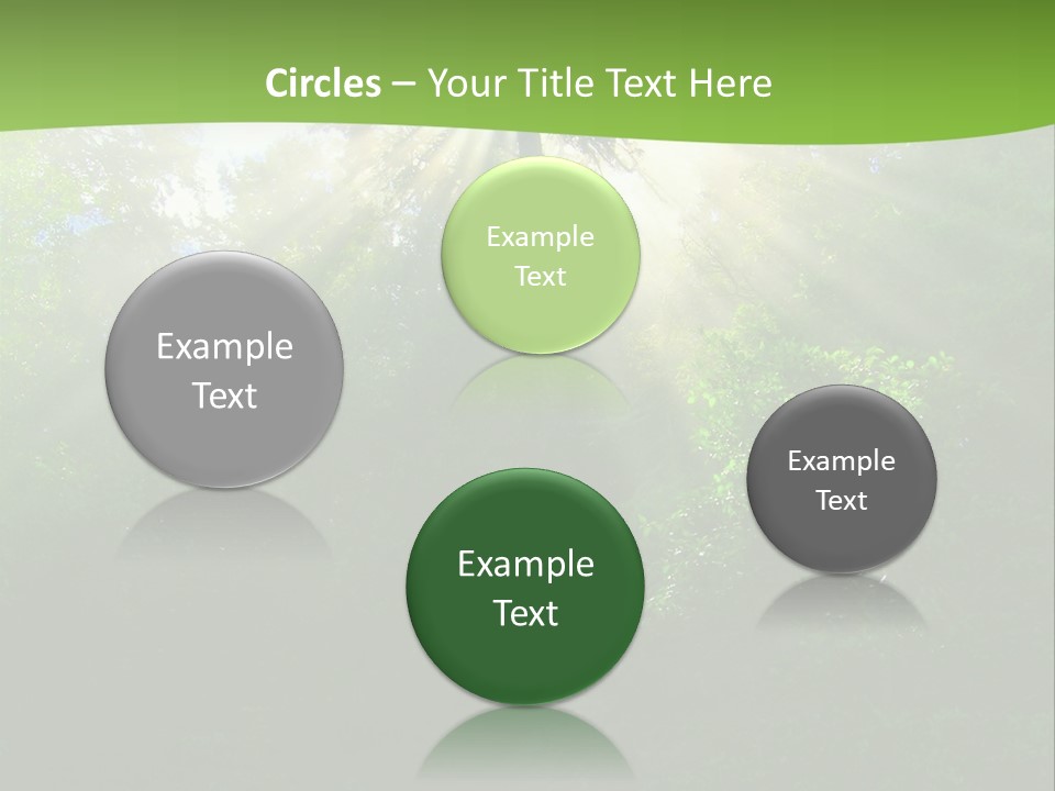 Bush Inspiration Sun PowerPoint Template