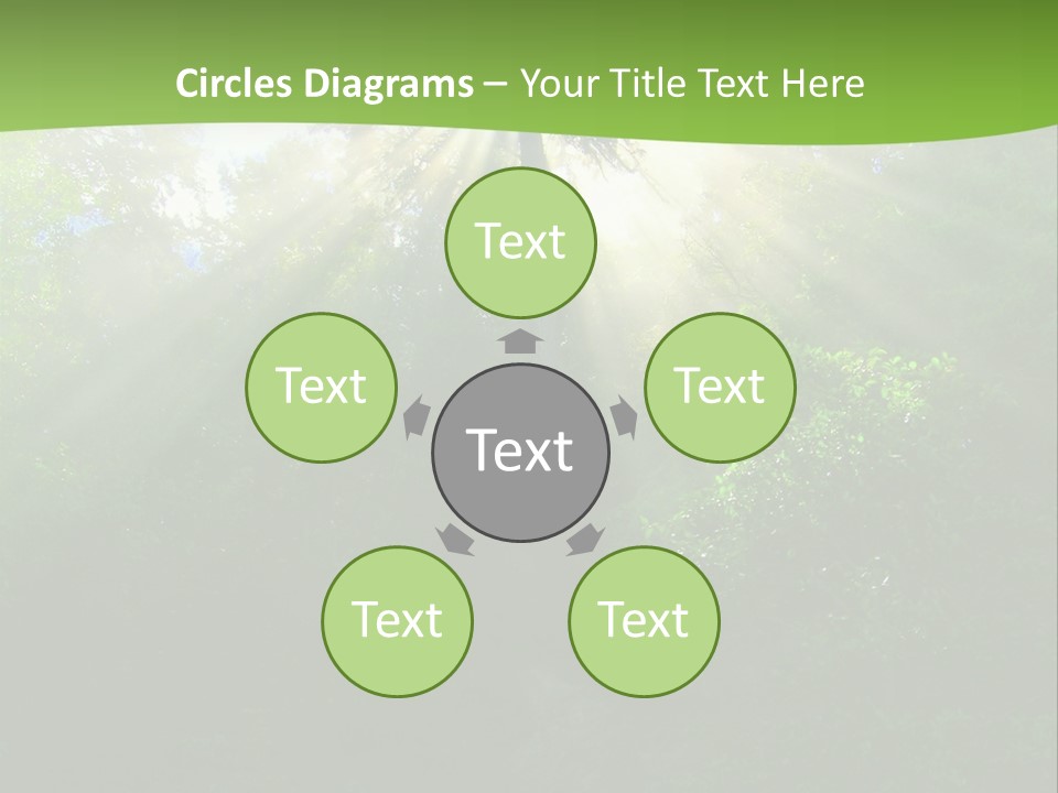 Bush Inspiration Sun PowerPoint Template