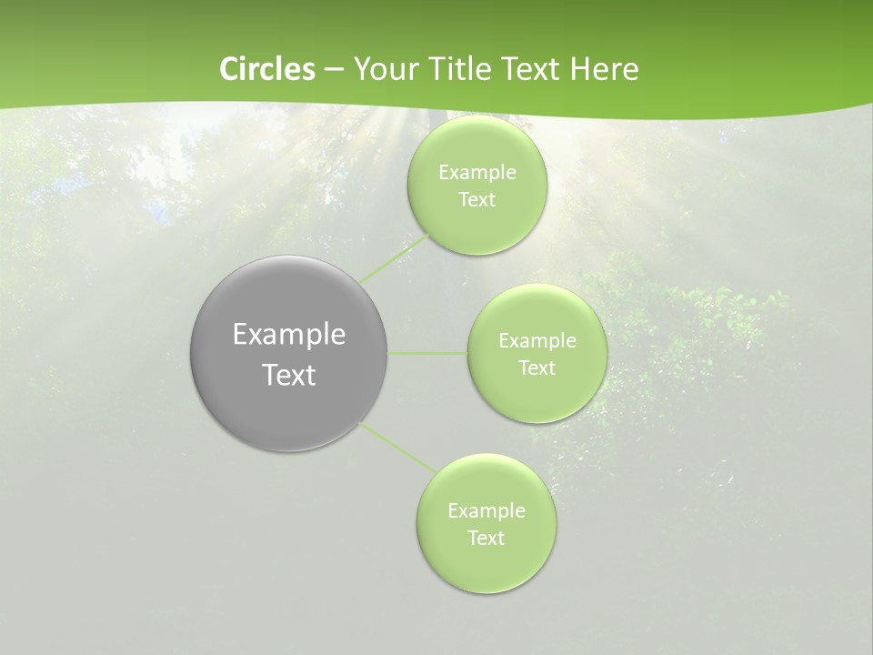 Bush Inspiration Sun PowerPoint Template