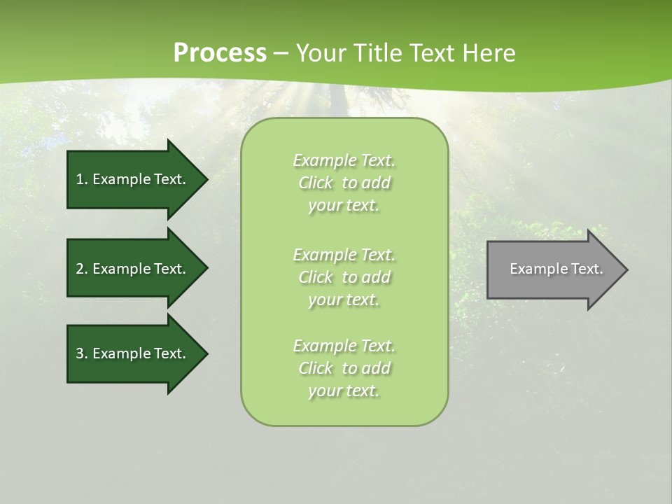 Bush Inspiration Sun PowerPoint Template