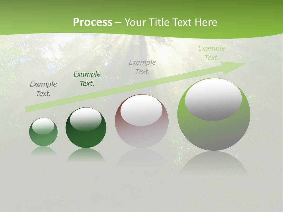 Bush Inspiration Sun PowerPoint Template