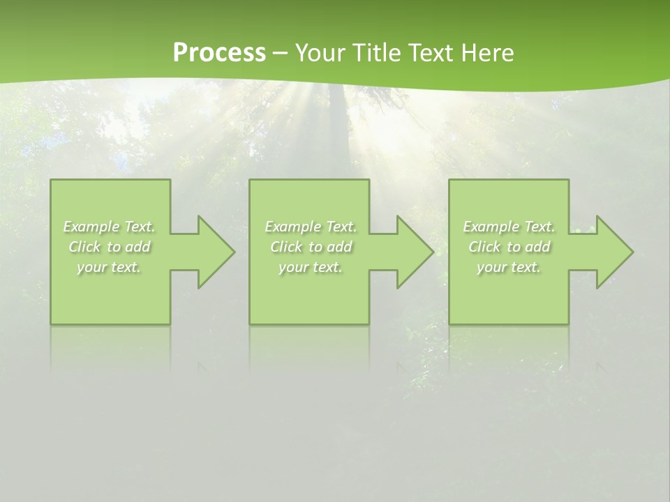 Bush Inspiration Sun PowerPoint Template