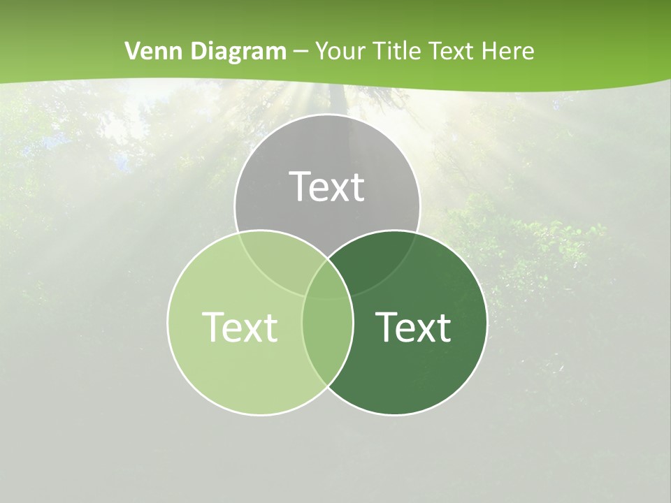 Bush Inspiration Sun PowerPoint Template