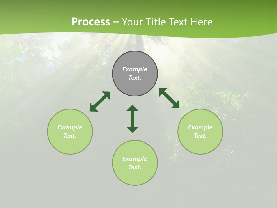 Bush Inspiration Sun PowerPoint Template