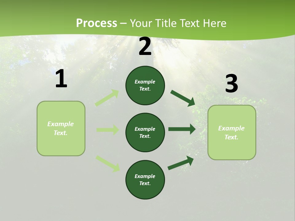 Bush Inspiration Sun PowerPoint Template