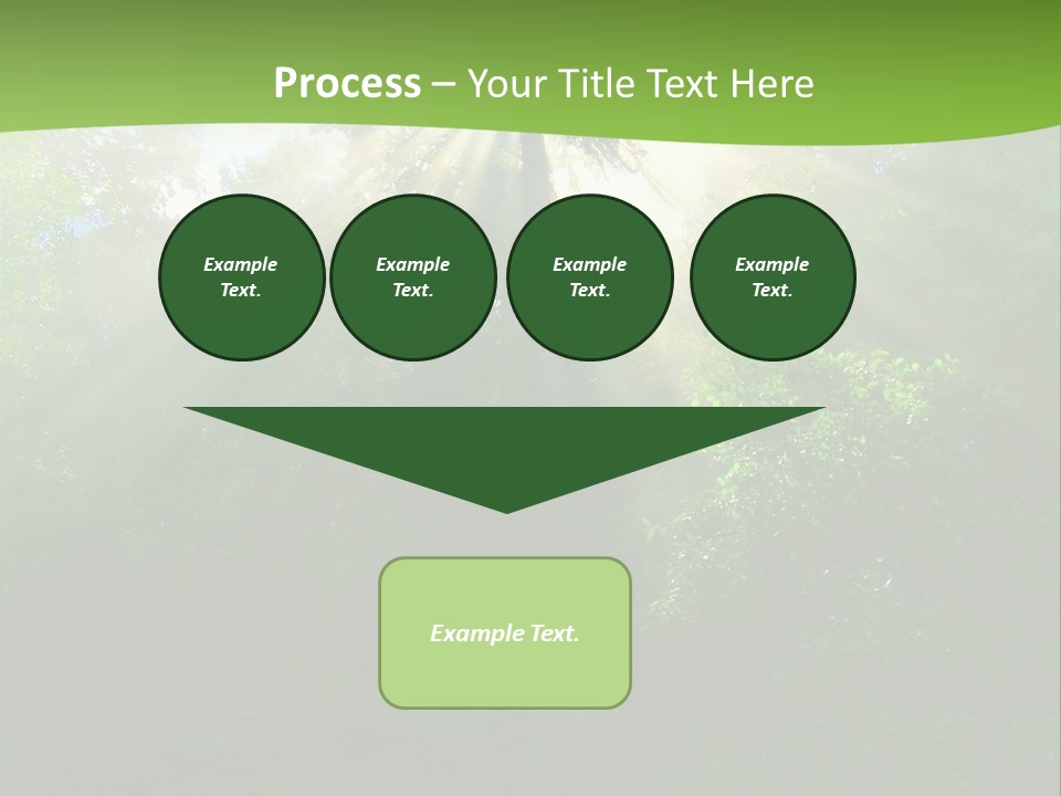 Bush Inspiration Sun PowerPoint Template