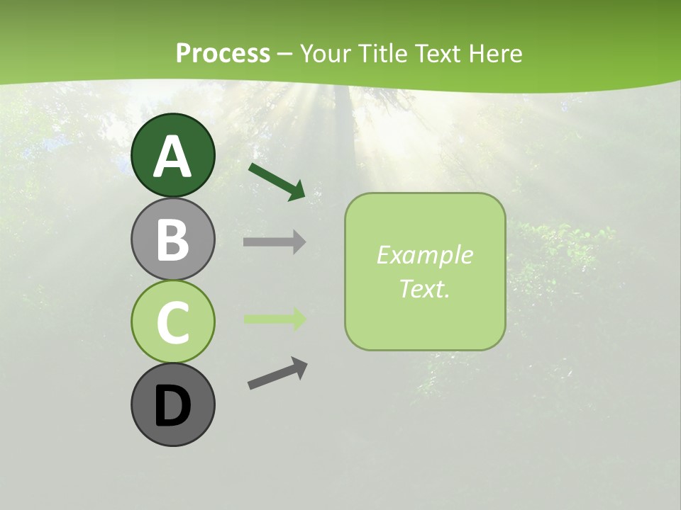 Bush Inspiration Sun PowerPoint Template