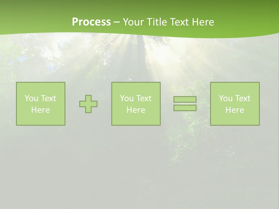 Bush Inspiration Sun PowerPoint Template