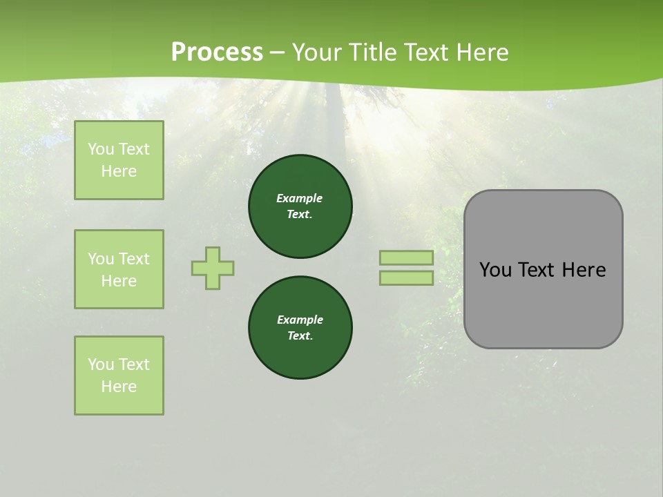 Bush Inspiration Sun PowerPoint Template