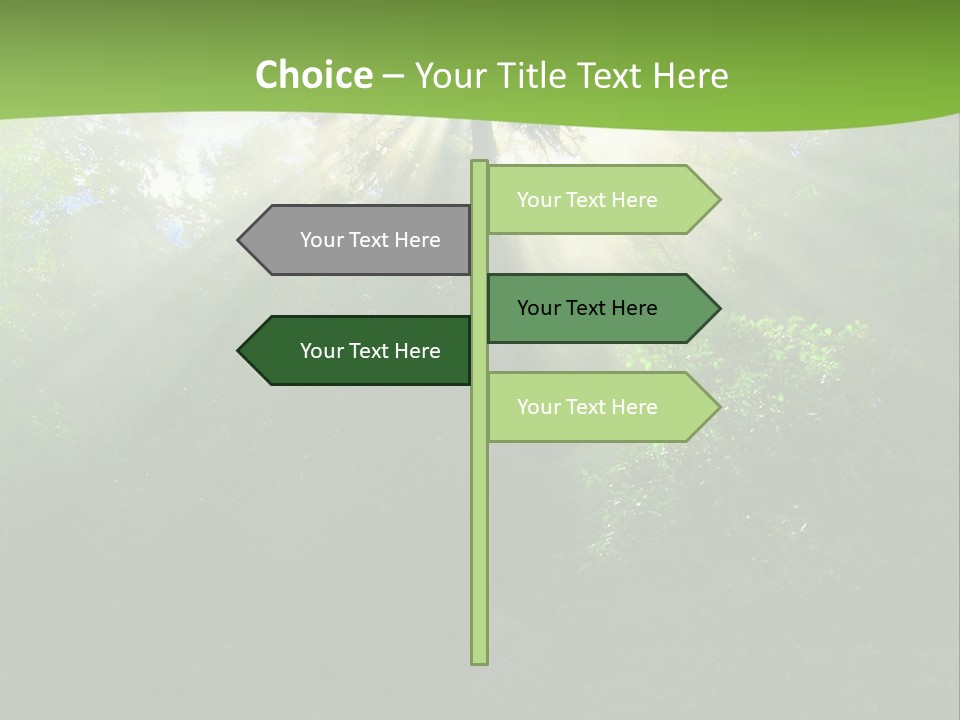 Bush Inspiration Sun PowerPoint Template