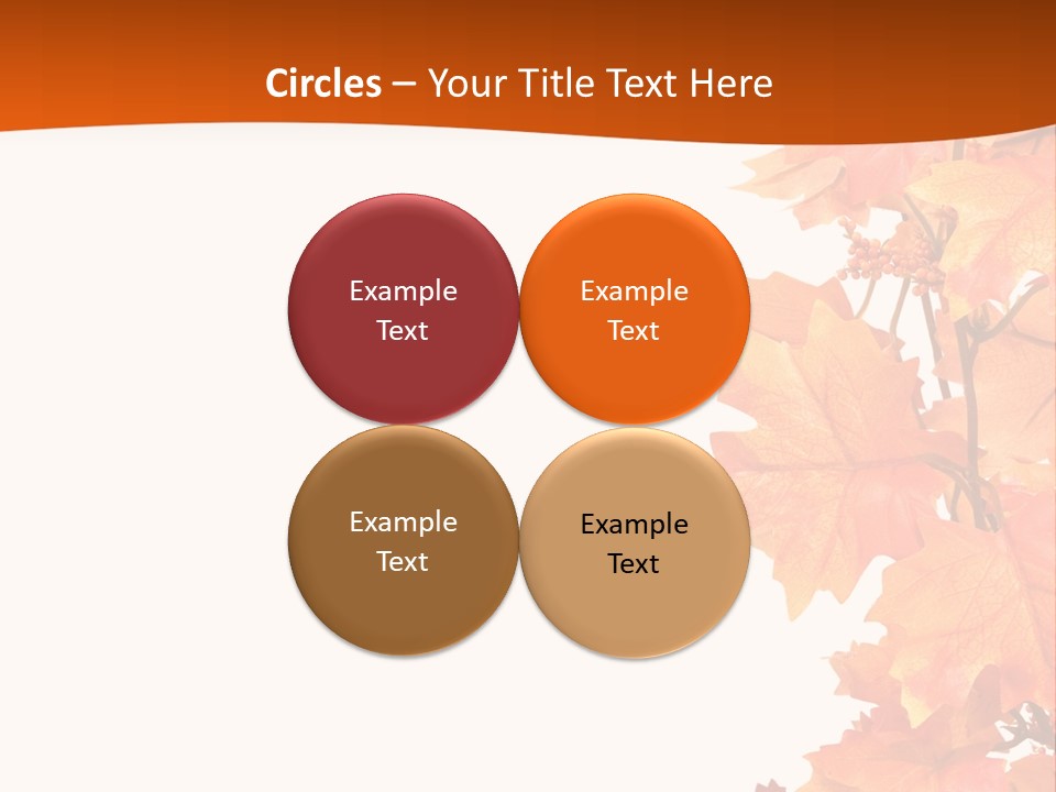 Display Decoration Food PowerPoint Template