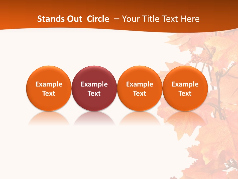 Display Decoration Food PowerPoint Template