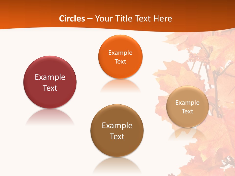 Display Decoration Food PowerPoint Template