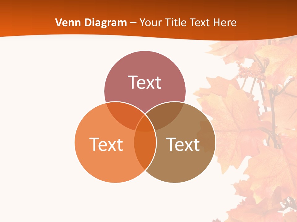 Display Decoration Food PowerPoint Template