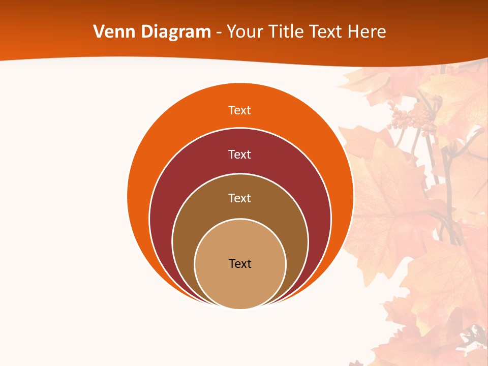 Display Decoration Food PowerPoint Template
