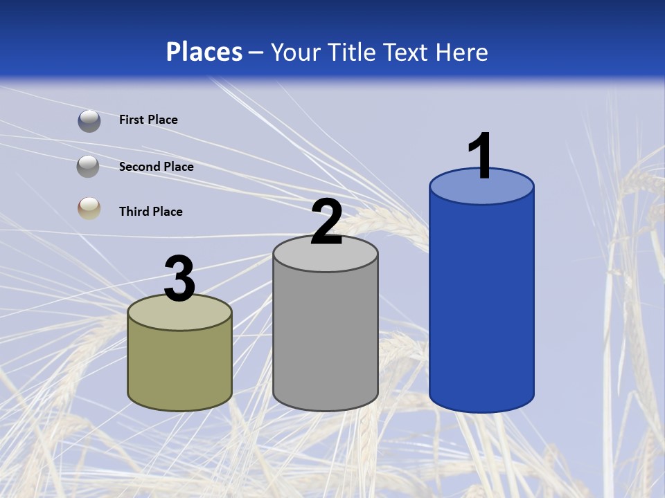 Wheat Ear Wheat Field Summer PowerPoint Template