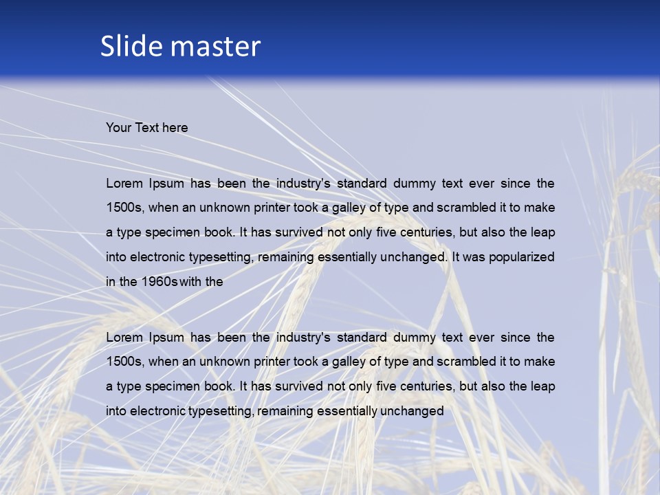 Wheat Ear Wheat Field Summer PowerPoint Template