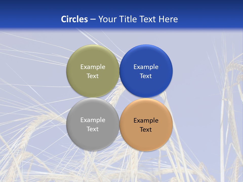 Wheat Ear Wheat Field Summer PowerPoint Template