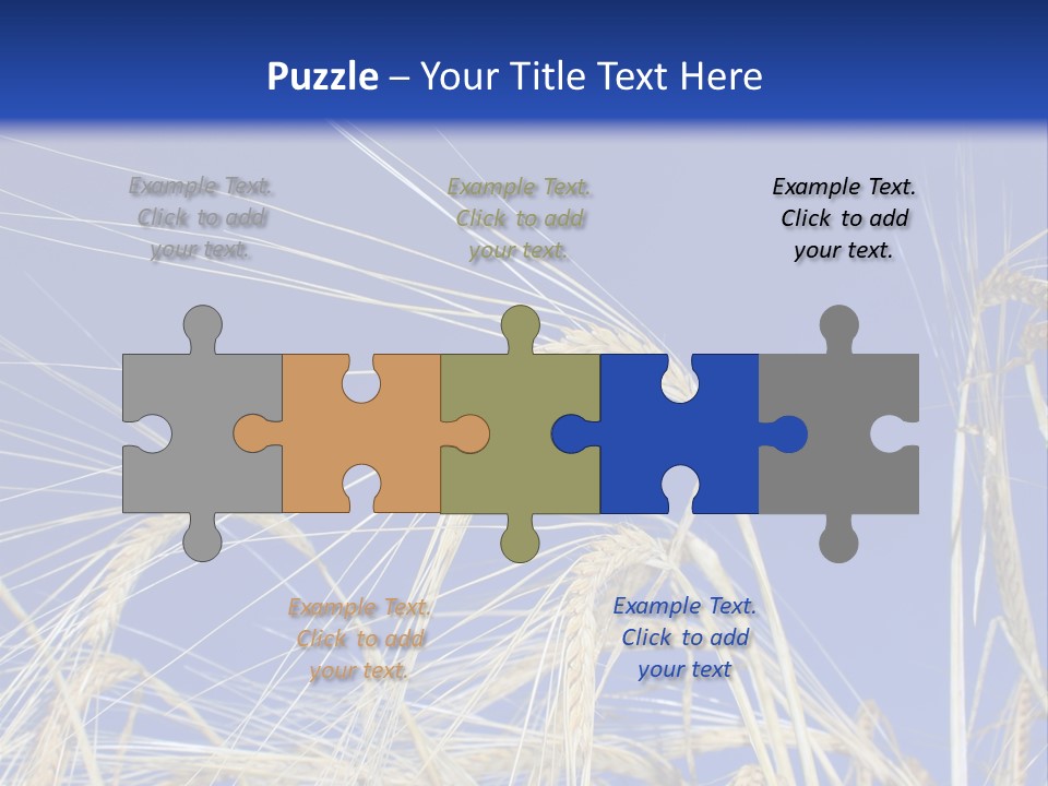 Wheat Ear Wheat Field Summer PowerPoint Template