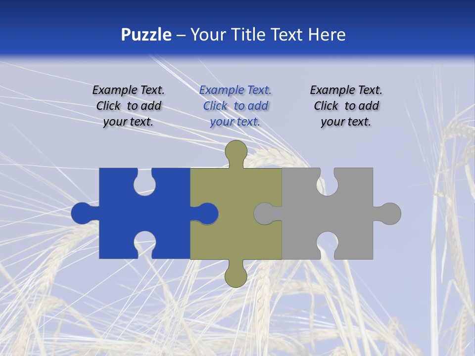 Wheat Ear Wheat Field Summer PowerPoint Template