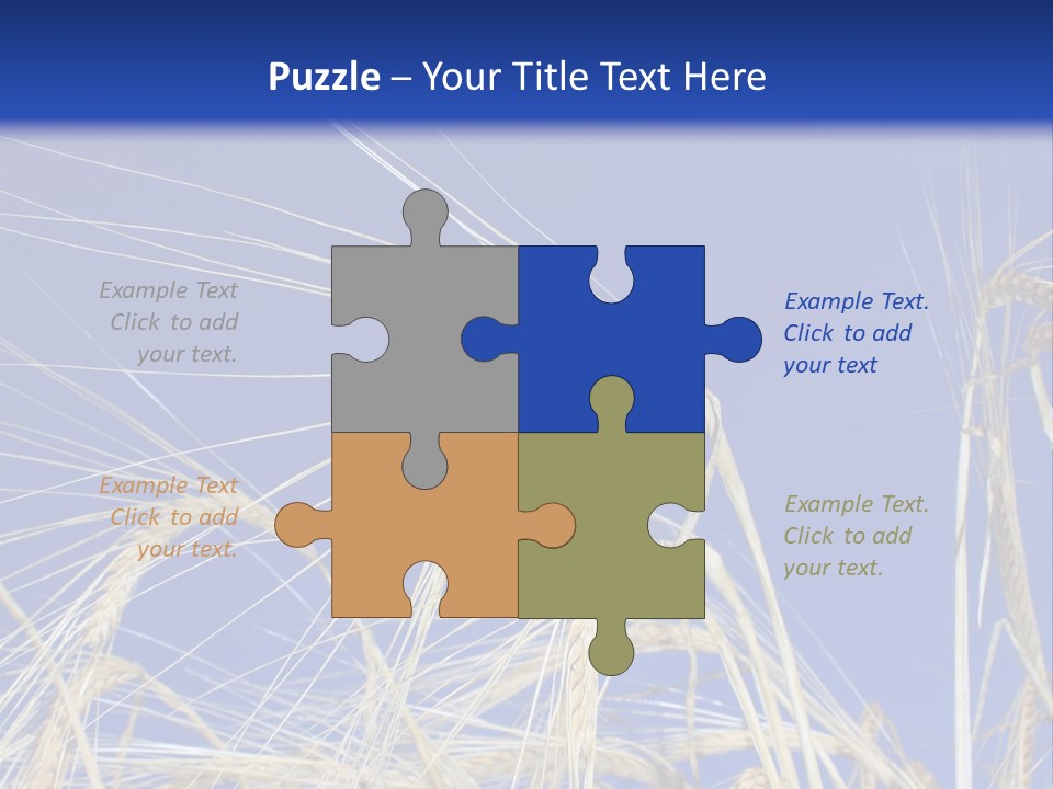 Wheat Ear Wheat Field Summer PowerPoint Template