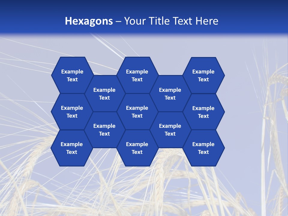 Wheat Ear Wheat Field Summer PowerPoint Template