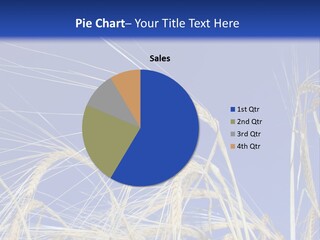 Wheat Ear Wheat Field Summer PowerPoint Template